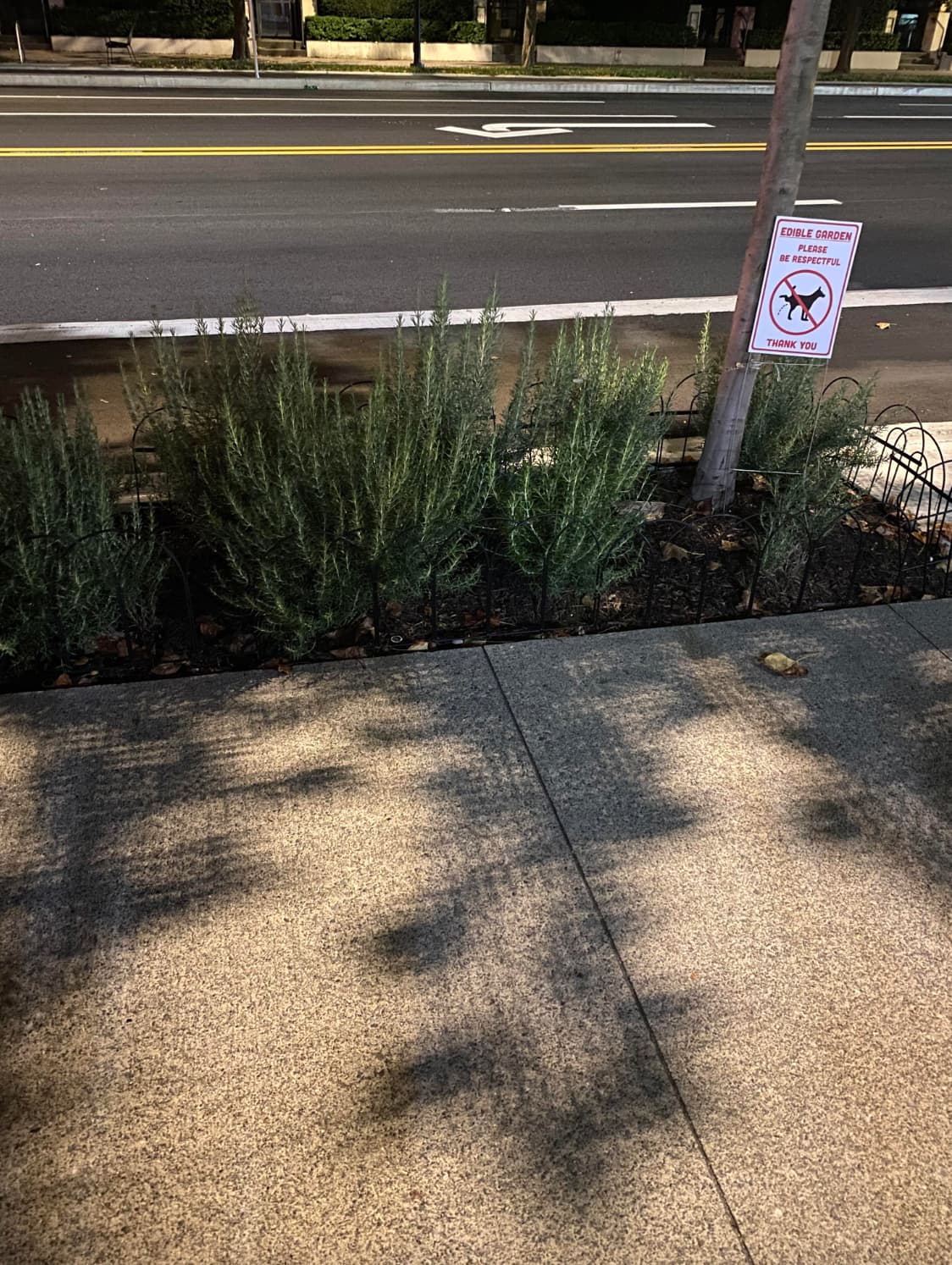 street - Edible Garden Please Be Respectful Thank You